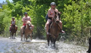 Marmaris Horse Safari - 4